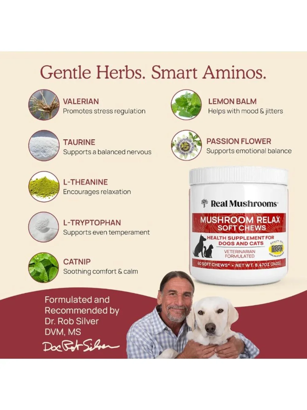 Calming Soft Chews for Dogs & Cats - Reishi & Lion's Mane Treats for Stress